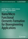 Arvydas Palevicius: Nano/Micro Functional Elements Formation for Bioengineering Applications, Buch