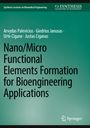 Text: "Nano/Micro Functional Elements Formation for Bioengineering Applications" Autoren: Arvydas Palevicius, Giedrius Janusas.