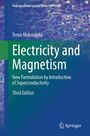 Teruo Matsushita: Electricity and Magnetism, Buch
