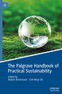 : The Palgrave Handbook of Practical Sustainability, Buch