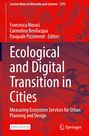 : Ecological and Digital Transition in Cities, Buch