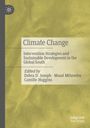 "Climate Change: Intervention Strategies and Sustainable Development in the Global South" in einem abstrakten gelb-grünen Design.