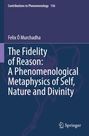 „Contributions to Phenomenology 136“, Buch von Felix Ó Murchadha. Springer-Logo unten rechts. Blauer Hintergrund.