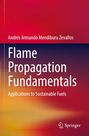 Andrés Armando Mendiburu Zevallos: Flame Propagation Fundamentals, Buch