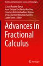 : Advances in Fractional Calculus, Buch