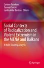 Titel: "Social Contexts of Radicalization". Roter Hintergrund; weißer Text, Springer-Logo unten.