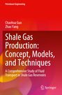 Text: "Shale Gas Production: Concept, Models, and Techniques. A Comprehensive Study of Fluid Transport in Shale Gas Reservoirs." Roter Hintergrund. 