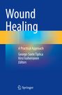 Titel: Wound Healing. Untertitel: A Practical Approach. Autoren: George-Sorin Tiplica, Kirsi Isoherranen. Springer-Logo unten.