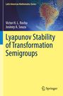 Text: „Lyapunov Stability of Transformation Semigroups“. Oben eine bunte, pixelartige Illustration. Unten Springer-Logo.