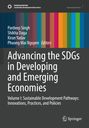"Advancing the SDGs in Developing and Emerging Economies" steht groß. Bunte vertikale Streifen und ein Logo oben links.