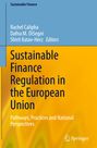 : Sustainable Finance Regulation in the European Union, Buch