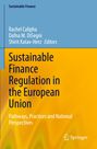 Titel: "Sustainable Finance Regulation in the European Union". Gelber Hintergrund mit blauem Bereich oben.