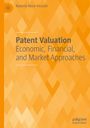 Roberto Moro-Visconti: Patent Valuation, Buch