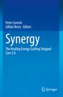 "Titel: Synergy, The Healing Energy Guiding Stepped Care 2.0. Autoren: Peter Cornish, Gillian Berry. Blauer Hintergrund, Springer-Logo."