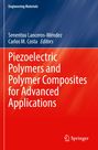 Text: "Piezoelectric Polymers and Polymer Composites for Advanced Applications", blau-roter Hintergrund, Springer-Logo.