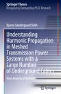 Bjarne Søndergaard Bukh: Understanding Harmonic Propagation in Meshed Transmission Power Systems with a Large Number of Underground Cables, Buch