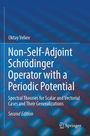 "Non-Self-Adjoint Schrödinger Operator with a Periodic Potential". Bläulicher Hintergrund, Springer-Logo unten rechts.