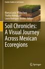 "Frontier Studies in Soil Science. Soil Chronicles: A Visual Journey Across Mexican Ecoregions. Illustration: Erde in Schichten."