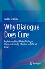Titel: "Why Dialogue Does Cure" von Jaakko Seikkula. Abstrakte blau-grüne Hintergrundgrafik. Springer-Logo.