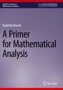 Titel: "A Primer for Mathematical Analysis" von David Borthwick. Lila Hintergrund, Springer Logo unten.