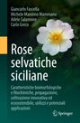 Titel: "Rose selvatiche siciliane". Autoren: Giancarlo Fascella, Michele Massimo Mammano, Adele Salamone, Carlo Greco. Daneben eine weiße Blüte auf grünem Hintergrund. Springer-Logo unten rechts.