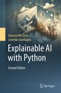 Antonio Di Cecco: Explainable AI with Python, Buch