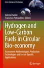 : Hydrogen and Low-Carbon Fuels in Circular Bio-economy, Buch
