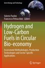 Titel: Hydrogen and Low-Carbon Fuels in Circular Bio-economy. Globus und Yin-Yang Symbol, Springer-Logo.