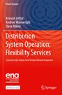 "Distribution System Operation: Flexibility Services" steht in Weiß auf rotem Hintergrund mit Kreis-Muster. Springer-Logo unten.
