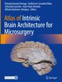 "Atlas of Intrinsic Brain Architecture for Microsurgery" steht über einem Bild eines detailreichen Gehirns auf blauem Hintergrund.