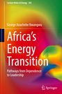 George Anachebe Nwangwu: Africa's Energy Transition, Buch