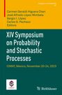 Titel: "XIV Symposium on Probability and Stochastic Processes". Ort: CIMAT, Mexiko, 20.-24. Nov. 2023.