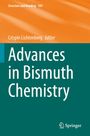 Titel: "Advances in Bismuth Chemistry". Oben orange, unten grün mit weißem Text. Springer-Logo rechts unten.