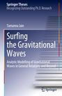 Titel: "Surfing the Gravitational Waves". Analytisches Modellieren von Gravitationswellen. Blaue Farbtöne, Springer-Logo.