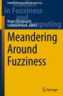 „Meandering Around Fuzziness“ von Marco Elio Tabacchi und Settimo Termini. Blau-gelb gestaltet, mit Springer-Logo.
