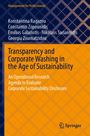 Buchtitel: "Transparency and Corporate Washing in the Age of Sustainability". Autorenliste. Hintergrundmuster blau und orange. Springer-Logo.