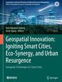 Geospatial Innovation: Igniting Smart Cities, Eco-Synergy, and Urban Resurgence, Buch