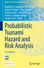 Titel: "Probabilistic Tsunami Hazard and Risk Analysis". Blaue und gelbe Farbgebung mit Wabenmuster.