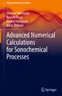 Slimane Merouani: Advanced Numerical Calculations for Sonochemical Processes, Buch