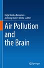 : Air Pollution and the Brain, Buch