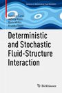 Suncica Canic: Deterministic and Stochastic Fluid-Structure Interaction, Buch