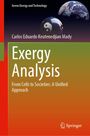 Carlos Eduardo Keutenedjian Mady: Exergy Analysis, Buch