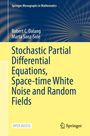 Robert C. Dalang: Stochastic Partial Differential Equations, Space-time White Noise and Random Fields, Buch