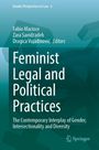 : Feminist Legal and Political Practices, Buch