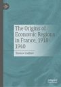 Terence Cudbird: The Origins of Economic Regions in France, 1918-1940, Buch