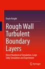 Doyle Knight: Rough Wall Turbulent Boundary Layers, Buch