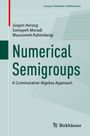 Jürgen Herzog: Numerical Semigroups, Buch