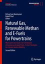 : Natural Gas, Renewable Methan and E-Fuels for Powertrains, Buch