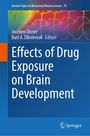 : Effects of Drug Exposure on Brain Development, Buch