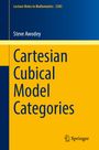 Steve Awodey: Cartesian Cubical Model Categories, Buch